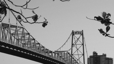 JOIN | 环保·国际·共赢