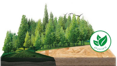 ENF无醛级板材，守护健康家居生活！